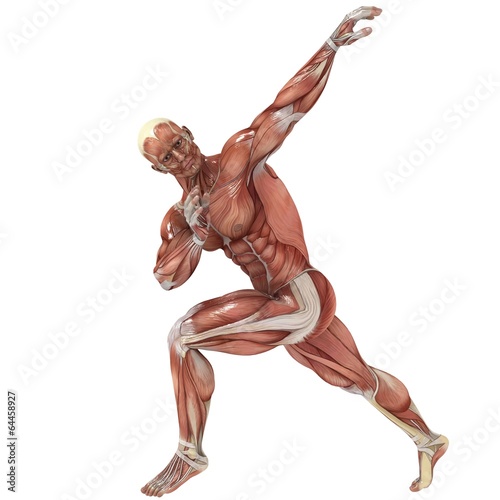 Canvas Print Stretching