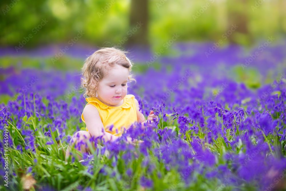 Cute toddler girl in bluebell flowers in spring field Cute toddler girl in bluebell flowers in spring field