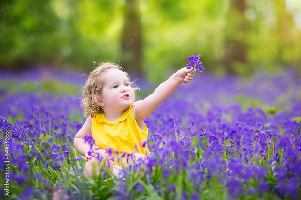 Adorable toddler girl in bluebell flowers in spring meadow Adorable toddler girl in bluebell flowers in spring meadow
