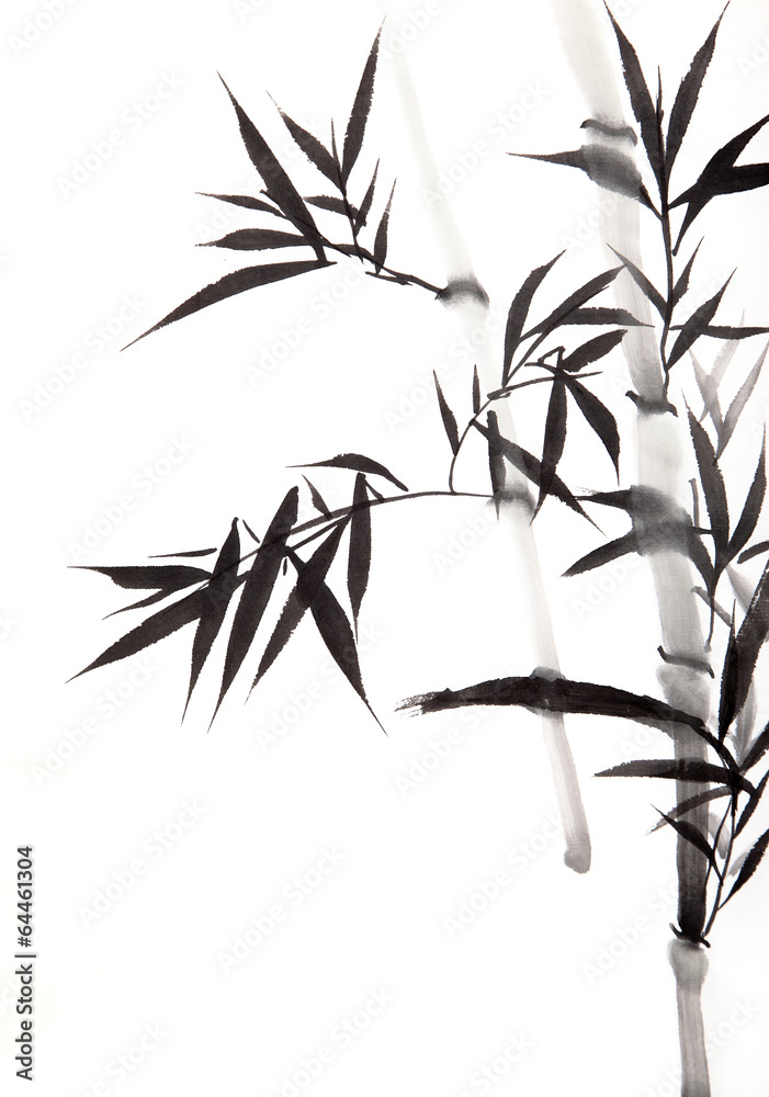 Obraz premium liść bambusa