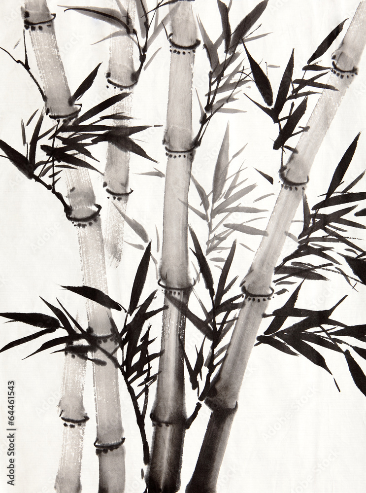 Fototapeta premium liść bambusa