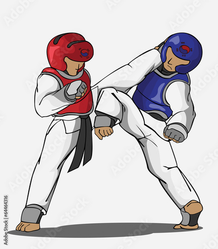 Taekwondo martial art