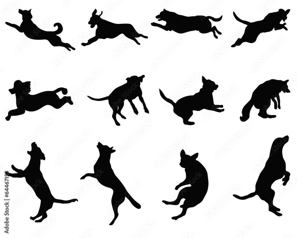Black silhouettes of jumping dogs, vector