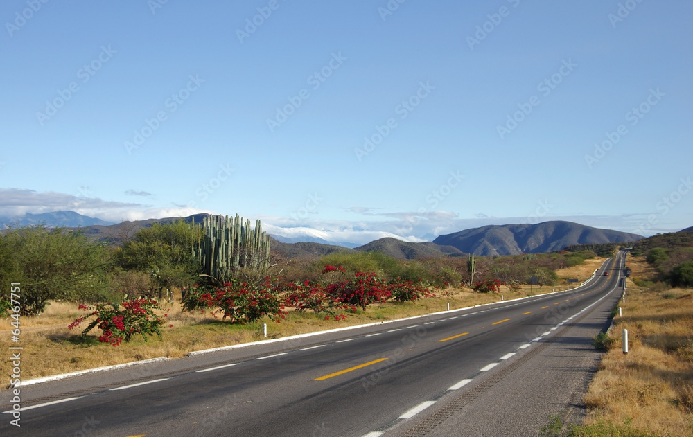 Mexico landscape