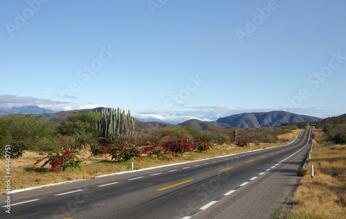 Mexico landscape © gumbao