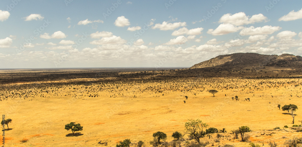 Obraz premium Afrykańska sawanna