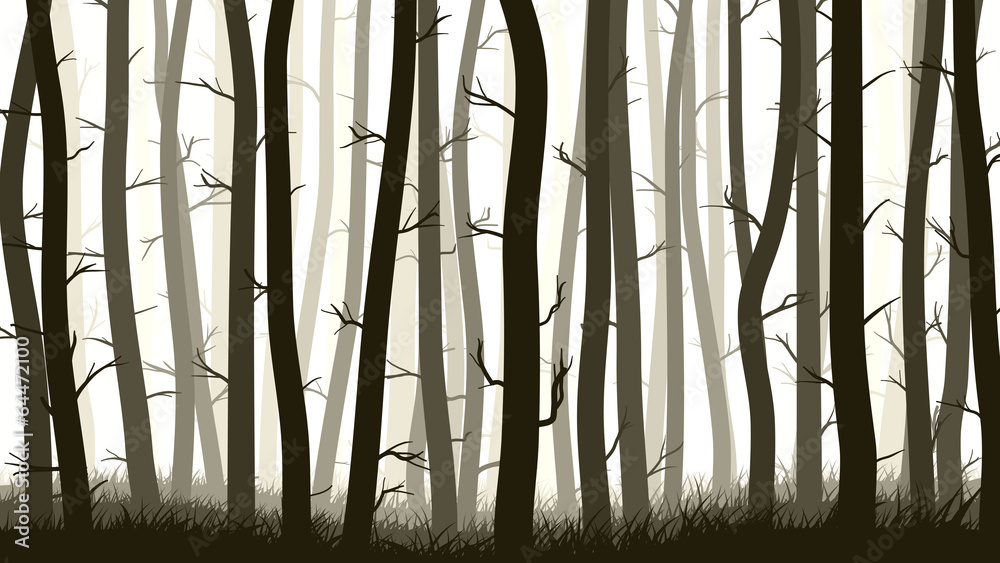 Obraz premium Horizontal illustration with many pine trees.