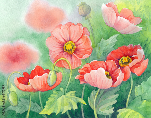 Watercolor of red poppies on green sunny flowerbed