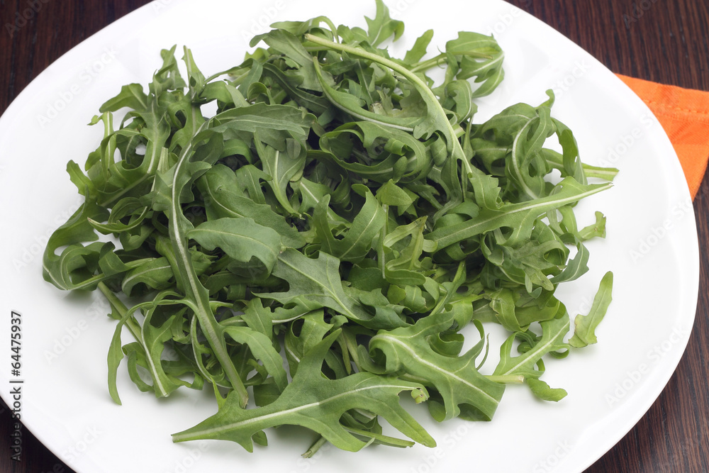 Rocket salad on white plate Rocket salad on white plate