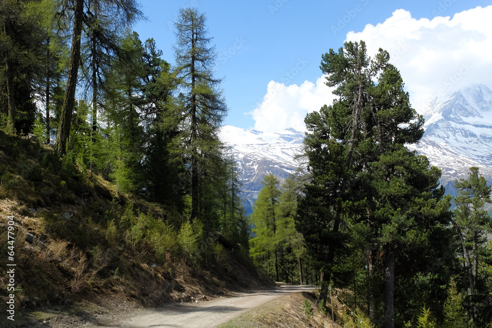 Walking trail of Swiss Alps in spring. Walking trail of Swiss Alps in spring.