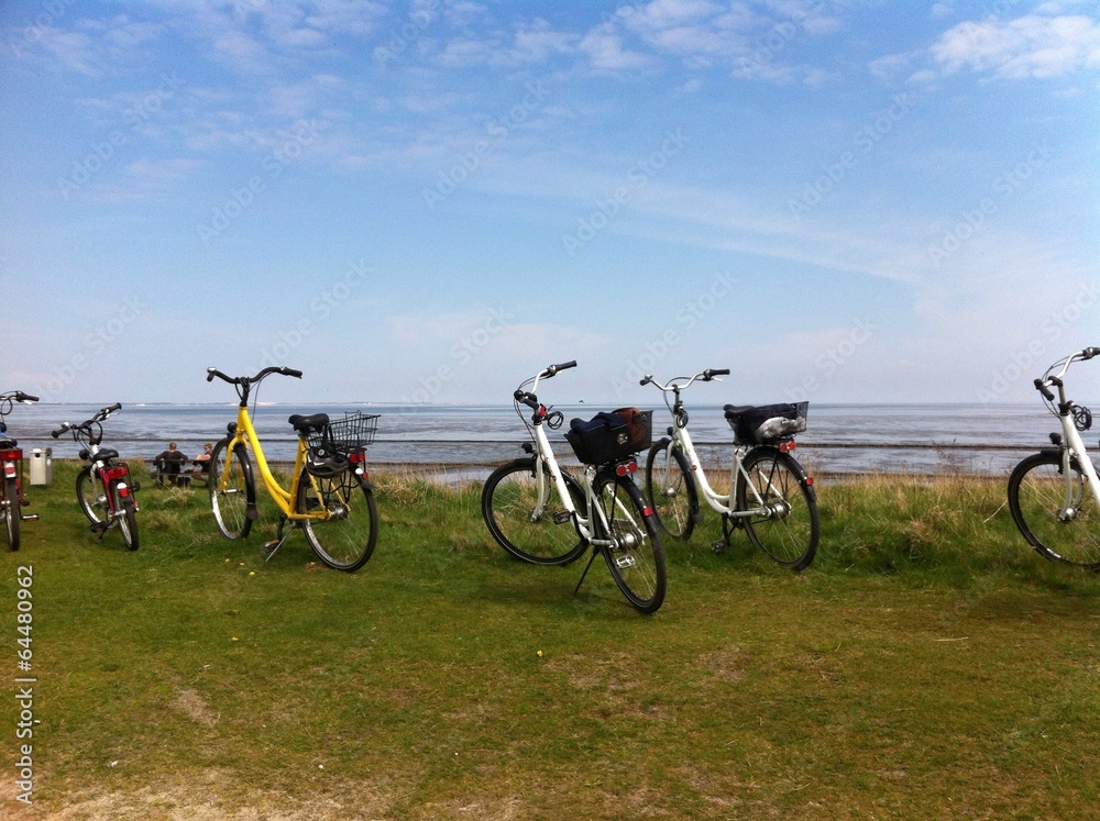 Obraz premium Sylt urlaub 