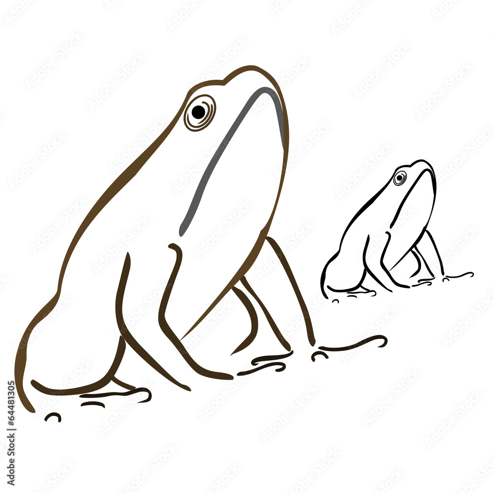 Frog Frog