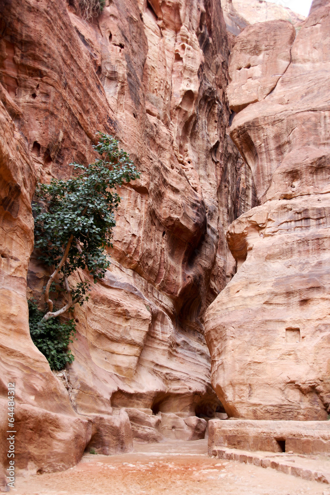 Petra gorge, Jordan,