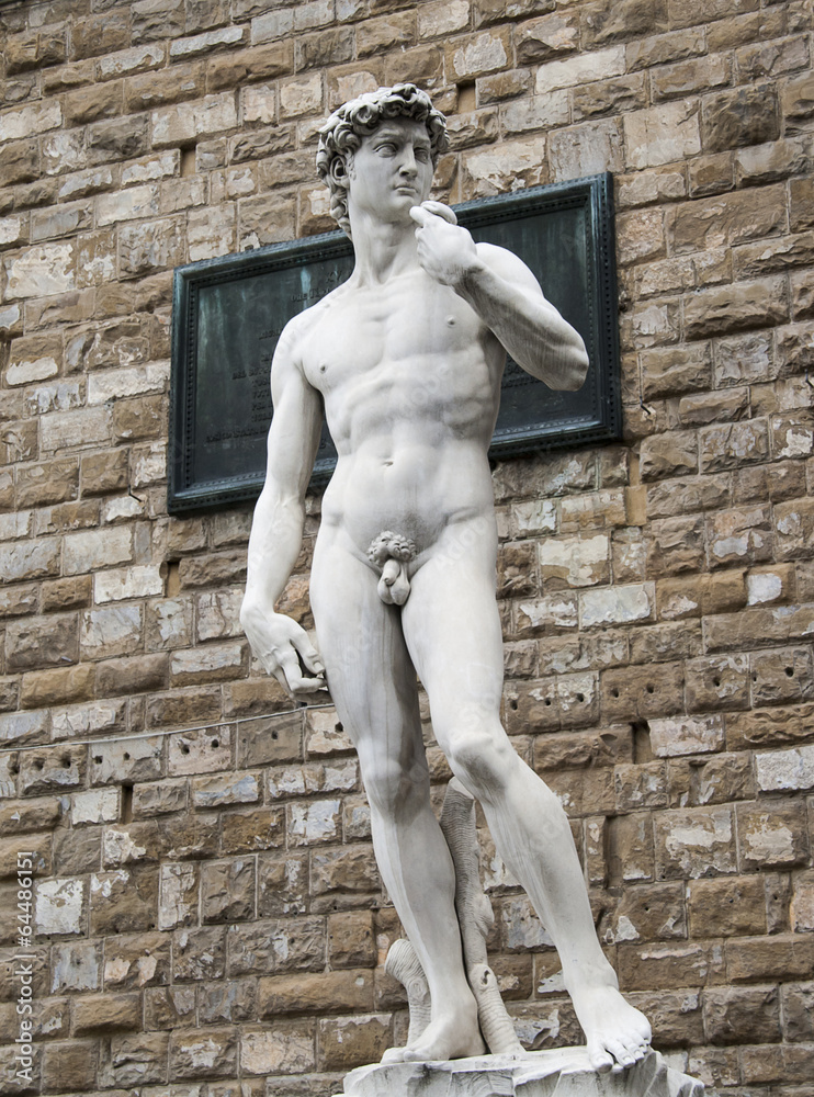 Obraz premium Michelangelo's David statue in Piazza della Signoria, Florence,