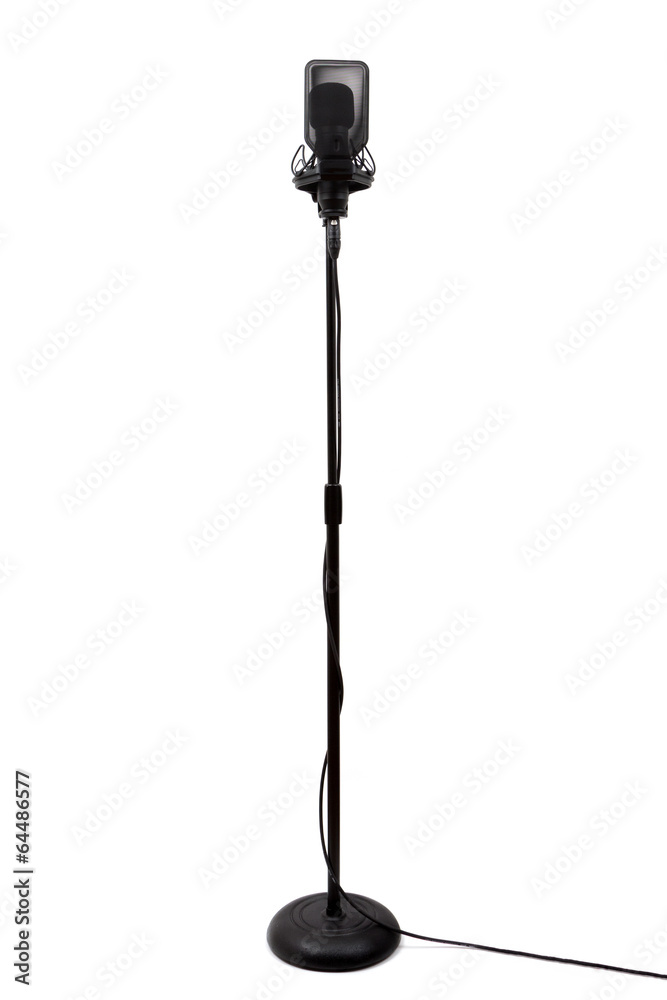 Studio condenser microphone