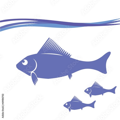 silhouettes of fish