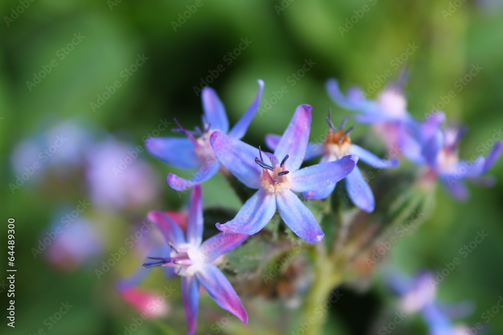 Jardin des plantes, Paris Jardin des plantes, Paris