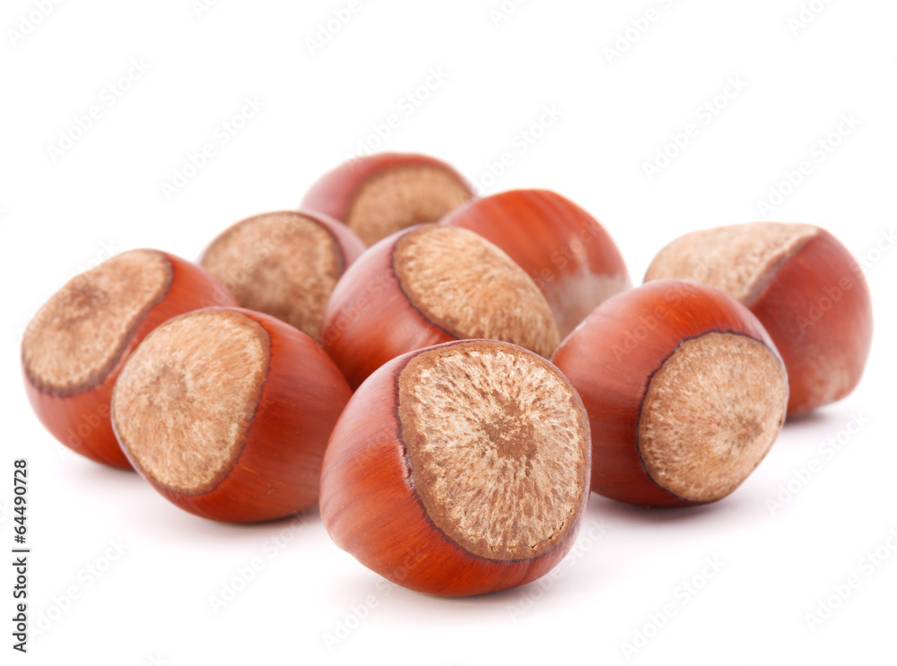 hazelnut or filbert nut isolated on white background cutout hazelnut or filbert nut isolated on white background cutout