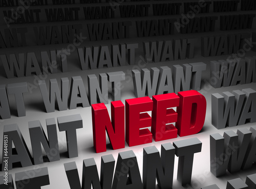 Need More Important Than Want