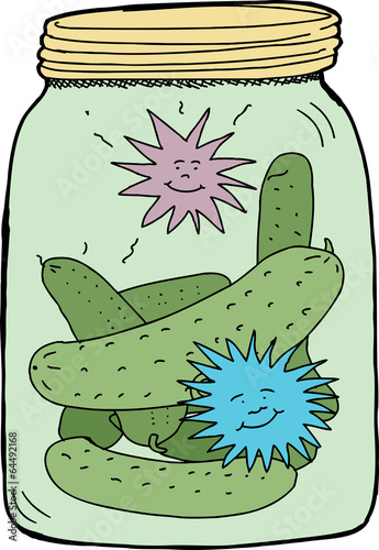 Happy Dill Pickles