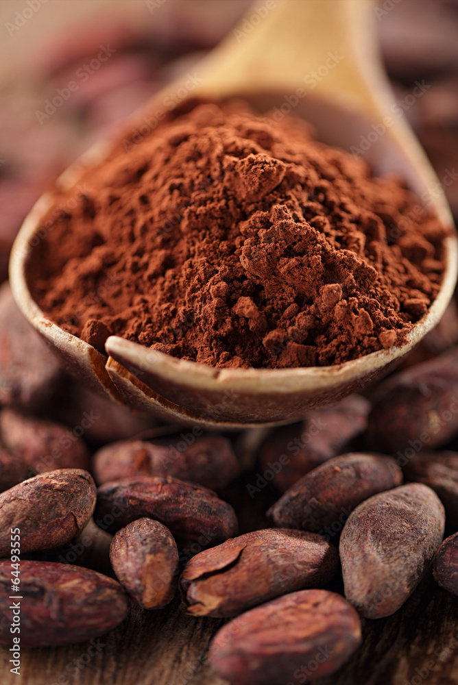 cocoa powder in spoon on roasted cocoa chocolate beans backgroun cocoa powder in spoon on roasted cocoa chocolate beans backgroun