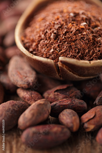 cocoa powder in spoon on roasted cocoa chocolate beans backgroun