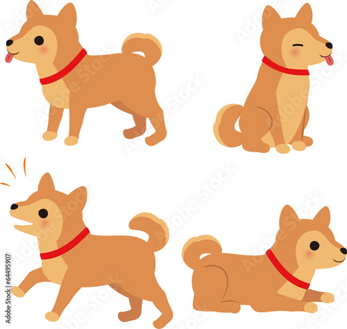 中型犬の4つのポーズ
