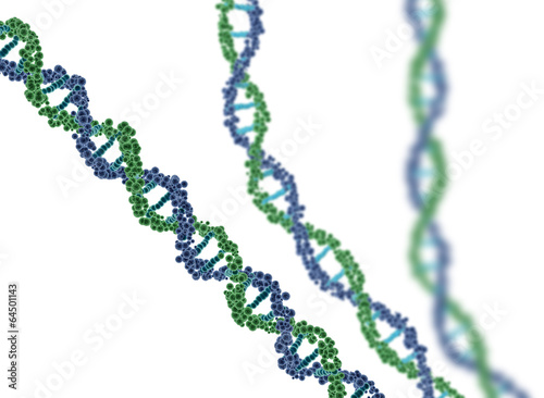 ADN sur fond blanc