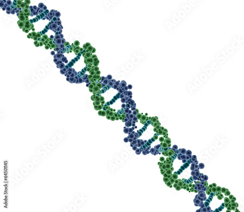 ADN sur fond blanc