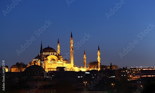 Canvas Print Istanbul at Night