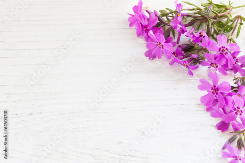 beautiful  flowers on wooden background