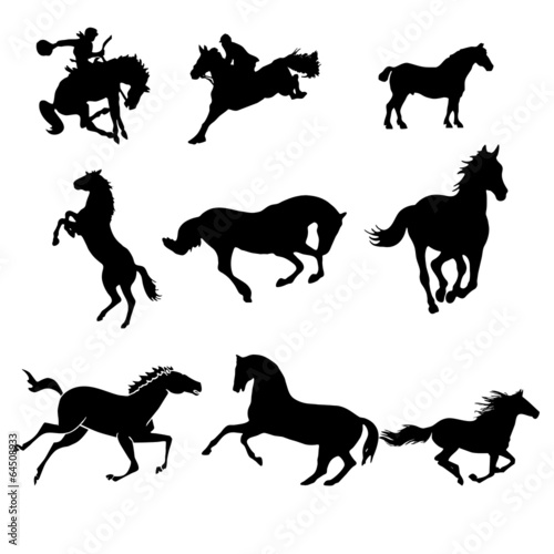 Fototapeta Naklejka Na Ścianę i Meble -  Stickers chevaux sauvages