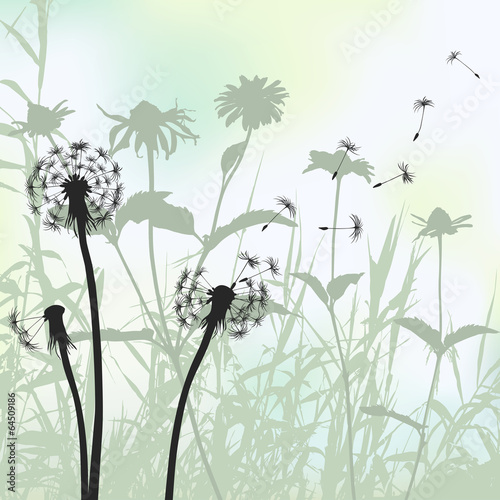 Floral background, dandelion meadow diuring summertime