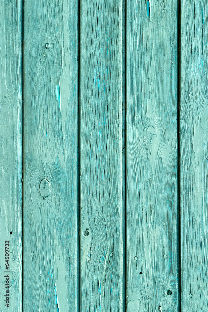 Fototapeta premium The blue wood texture with natural patterns