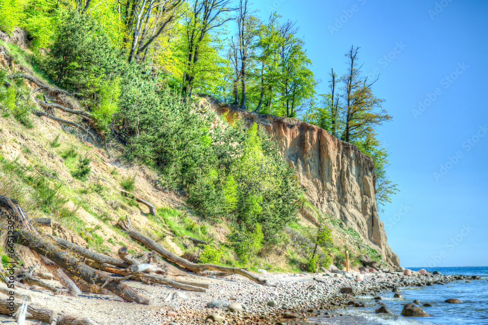 Fototapeta premium Cliff of Orlowo at Baltic sea, Poland