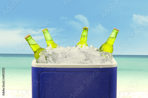 Beer bottles in ice box