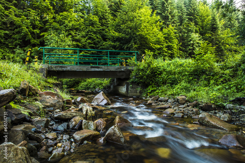 Fototapeta Naklejka Na Ścianę i Meble -  Mountain stream