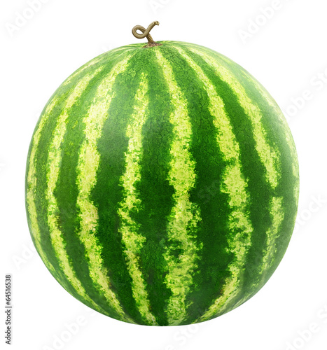 Isolated watermelon. One whole watermelon with stripes isolated on white background