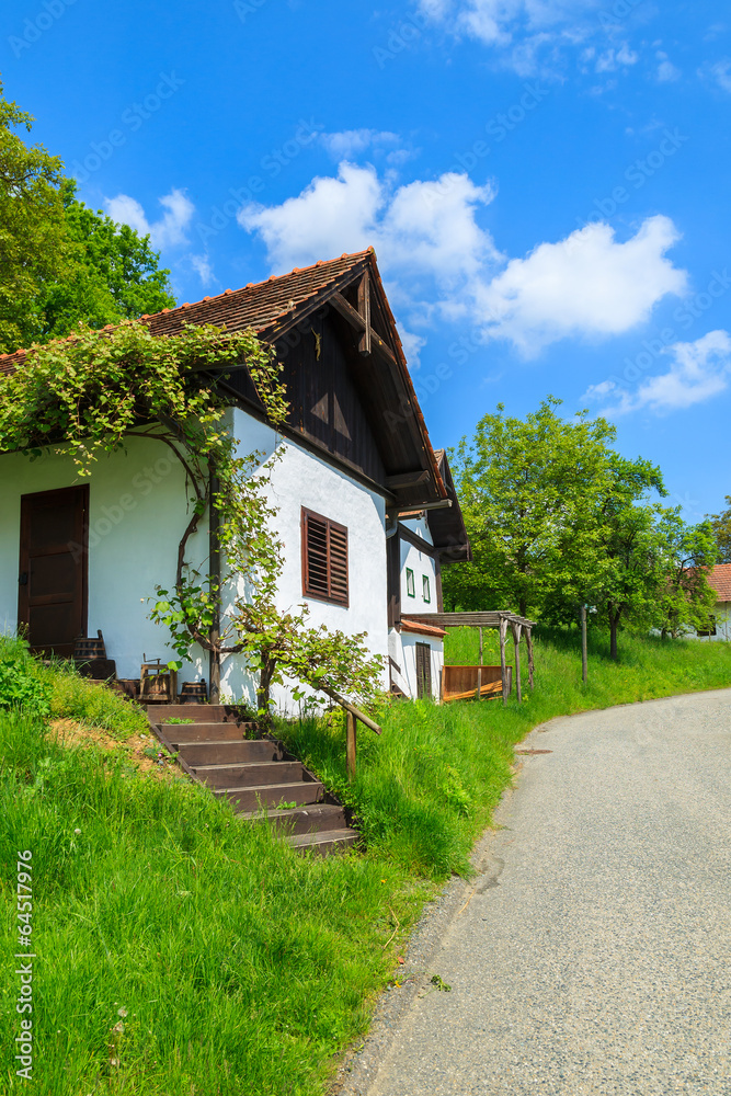 Traditional cottage houses in wine making region, Austria