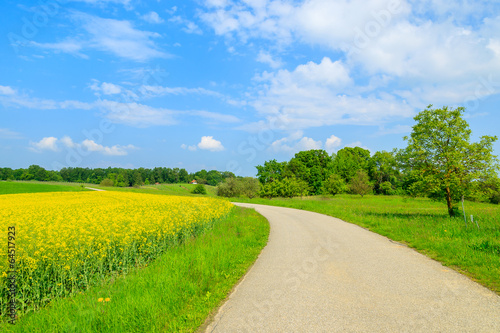 Countryside road in rapeseed flower field, Burgenland, Austria