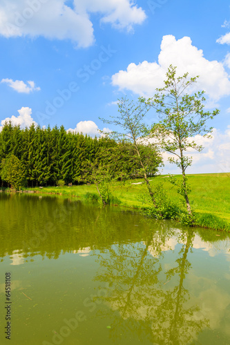 Trees by the lake in countryside landscape in spring, Austria