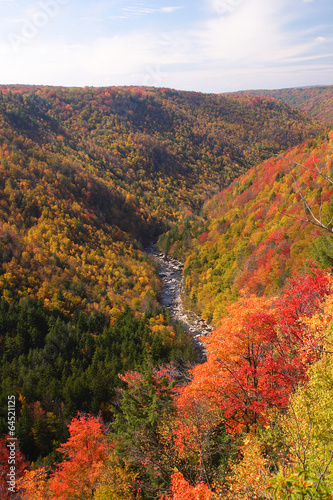 Fall Mountain Scenic