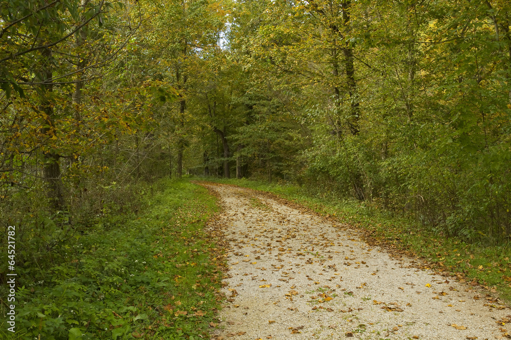 Fototapeta premium Fall Trail Scenic