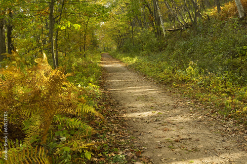 Fall Trail Scenic