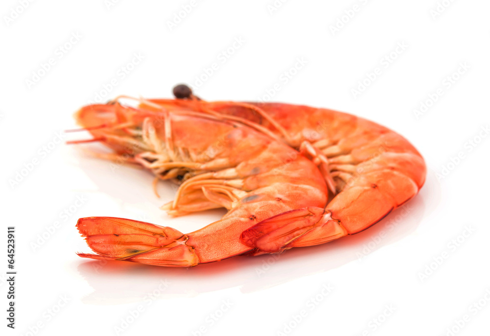 fresh shrimp isolated on a white background fresh shrimp isolated on a white background