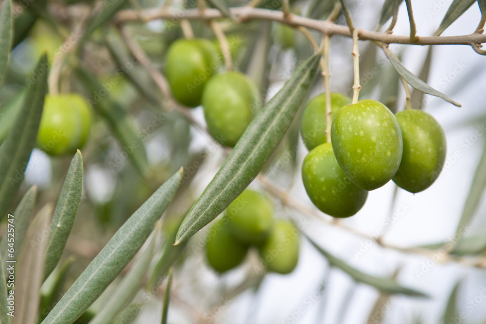 olives
