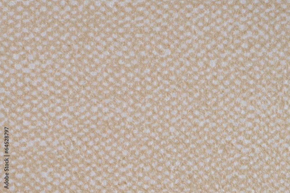 Fototapeta premium Beige vinyl texture