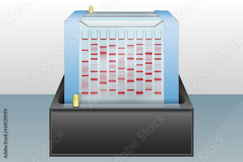 Gel electrophoresis device vector illustration