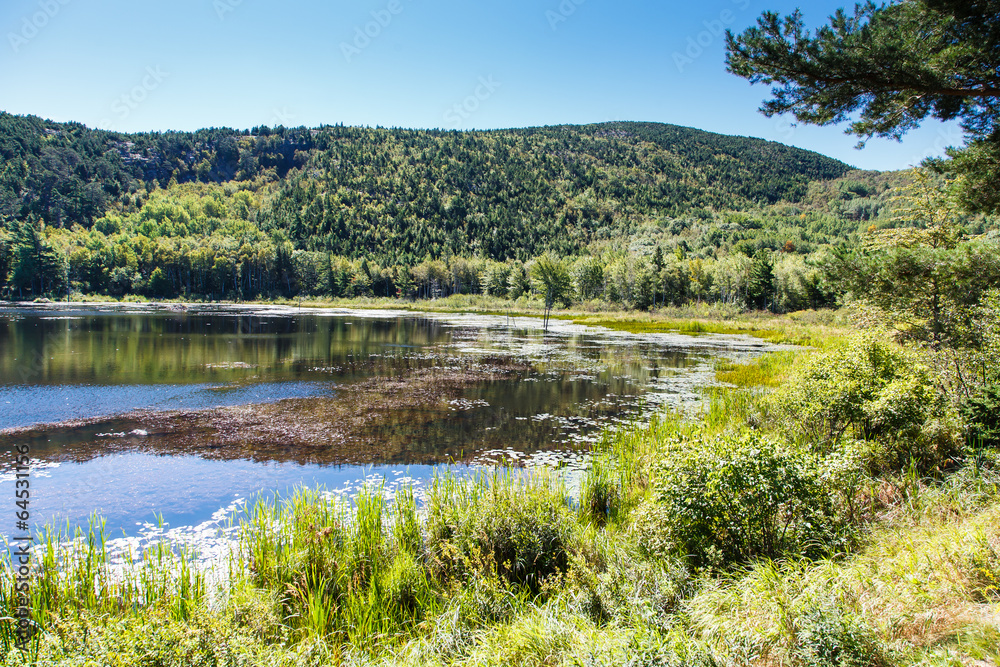 Sunny Pond in Maine Wilderness