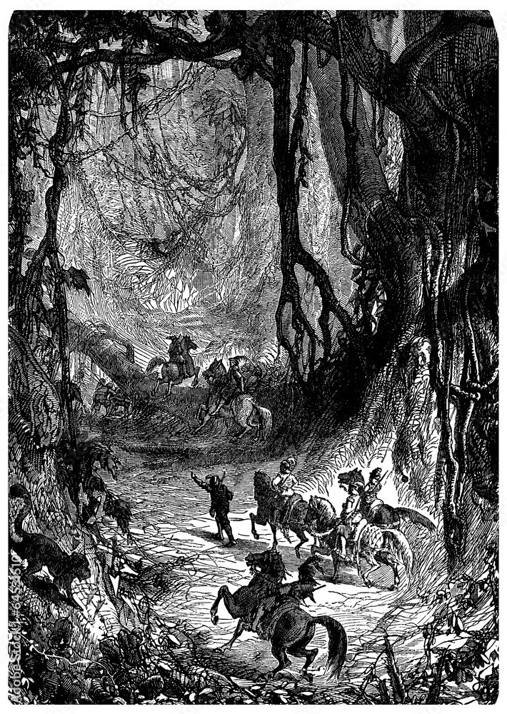 Fototapeta premium Conquistadores : through American Forest - 16th century